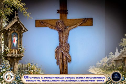 Zdjęcie 85