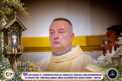 Zdjęcie 91