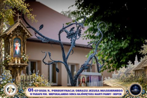 Zdjęcie 36