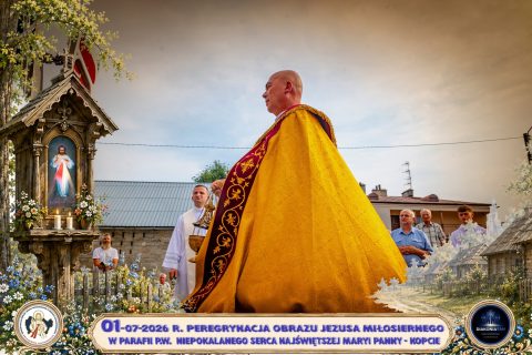 Zdjęcie 8